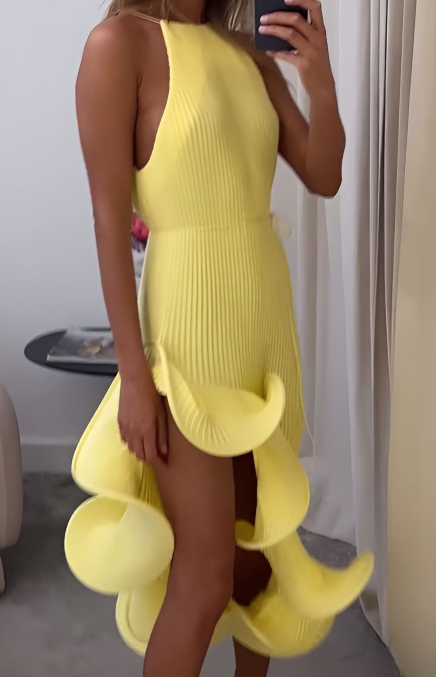 Stretch Ruffle Hem Dress