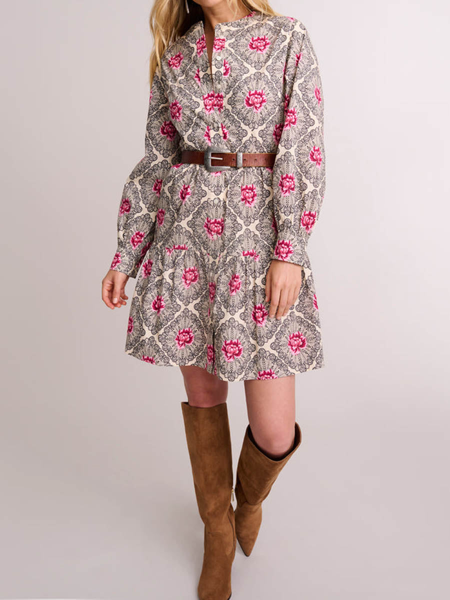 Printed Long Sleeve A-line Mini Dress