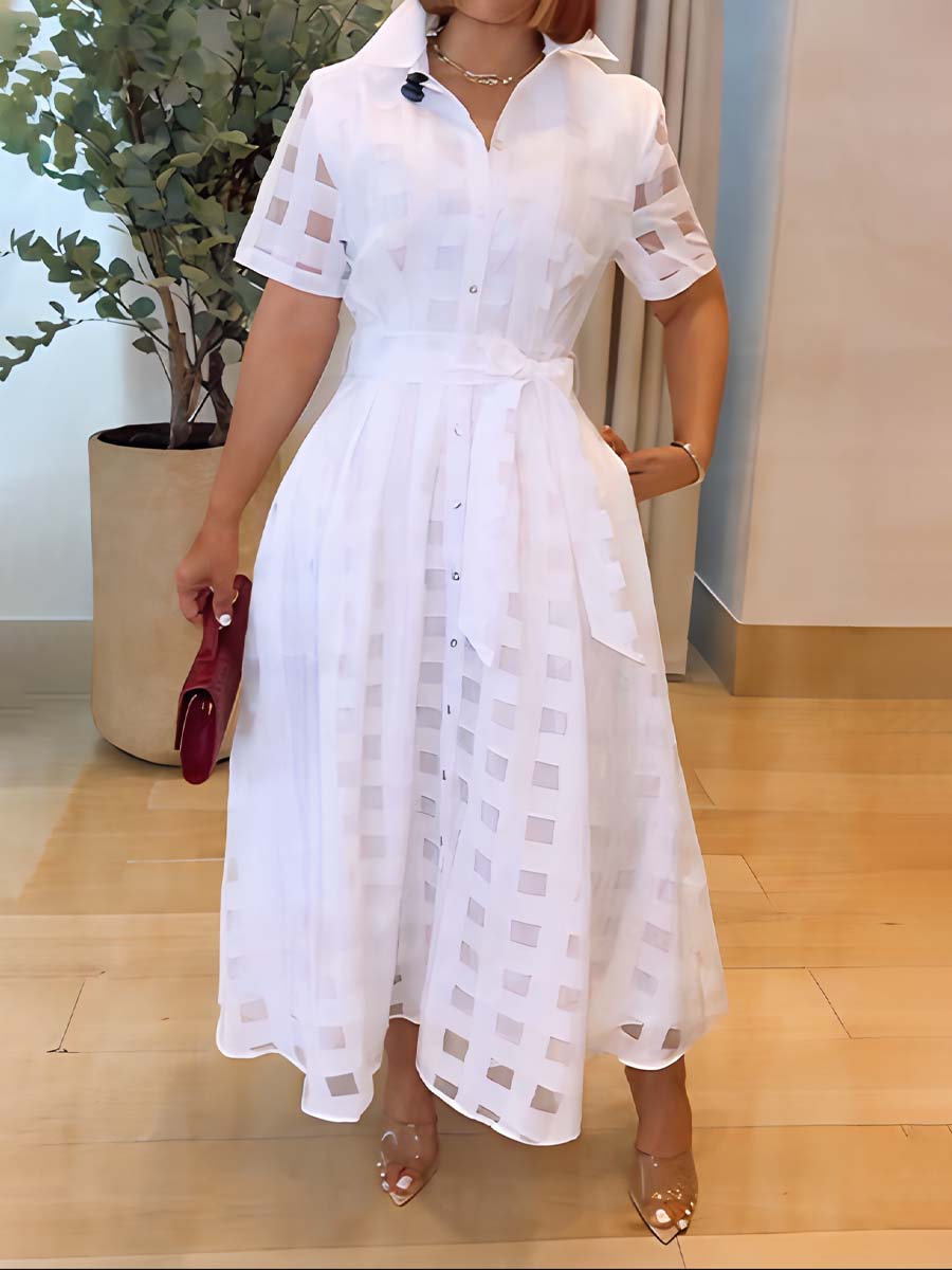 See-through Short Sleeve Belted Dress