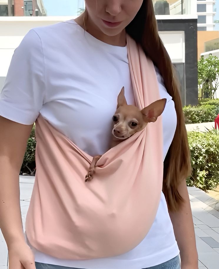 One-Shoulder Crossbody Pet Bag