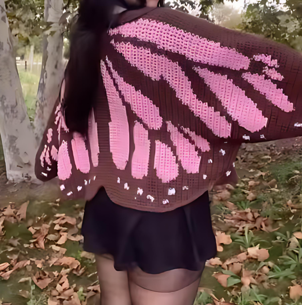 Butterfly Knit Sweater