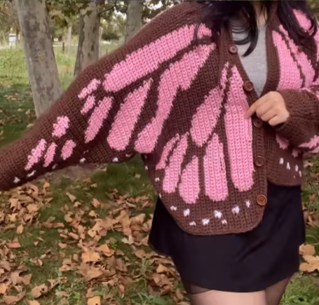 Butterfly Knit Sweater