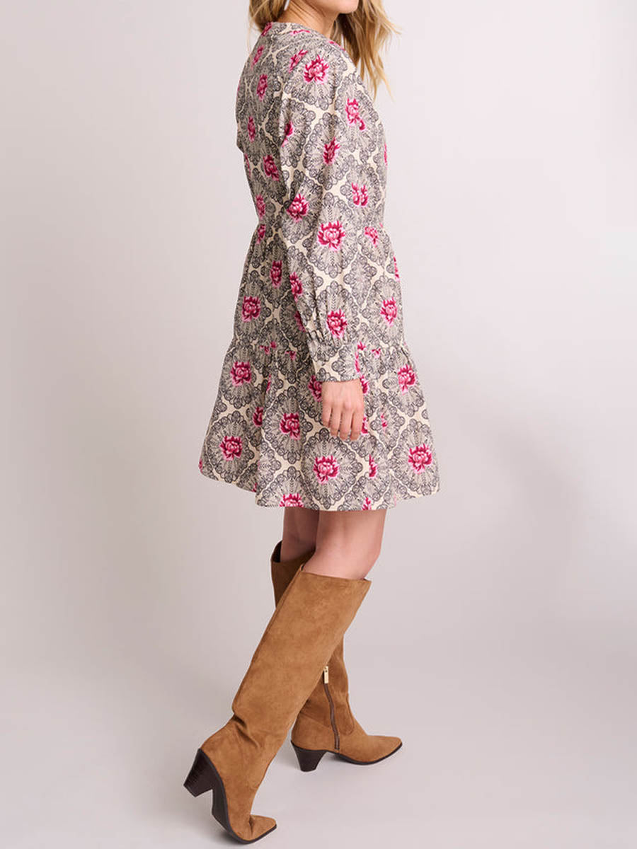 Printed Long Sleeve A-line Mini Dress